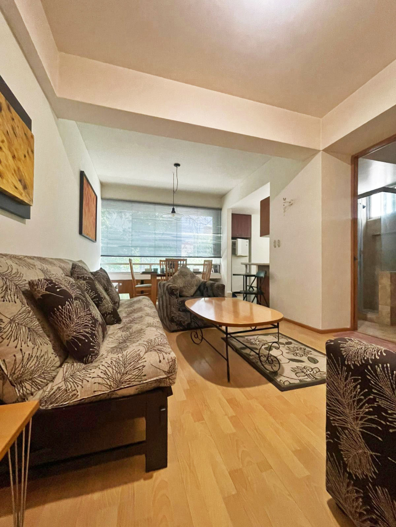 VENTA DE DEPARTAMENTO EN REFORMA SOCIAL