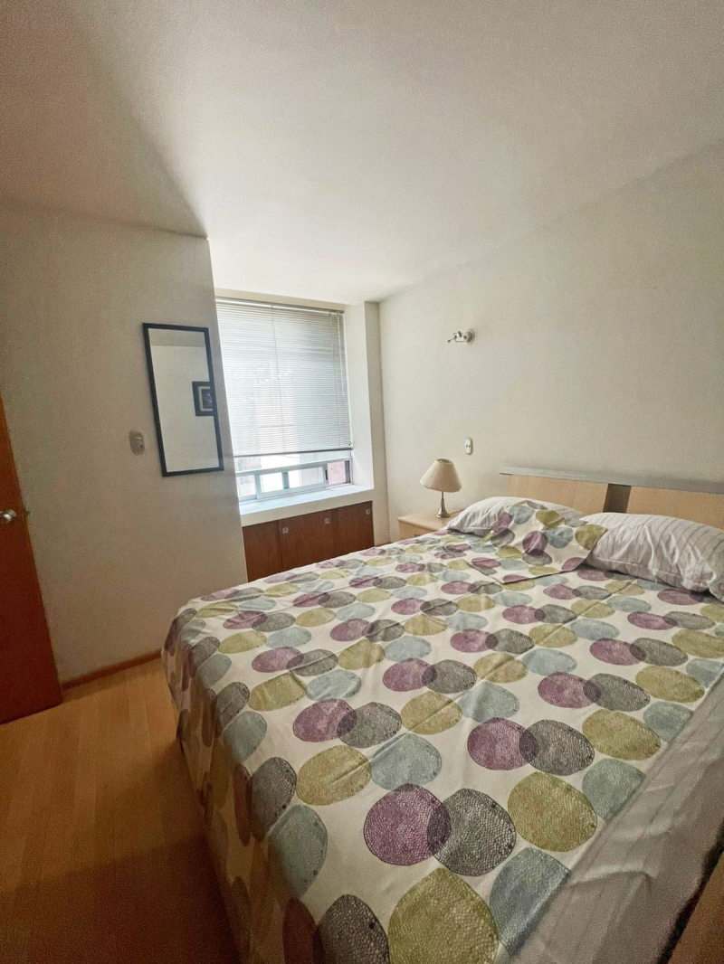 VENTA DE DEPARTAMENTO EN REFORMA SOCIAL