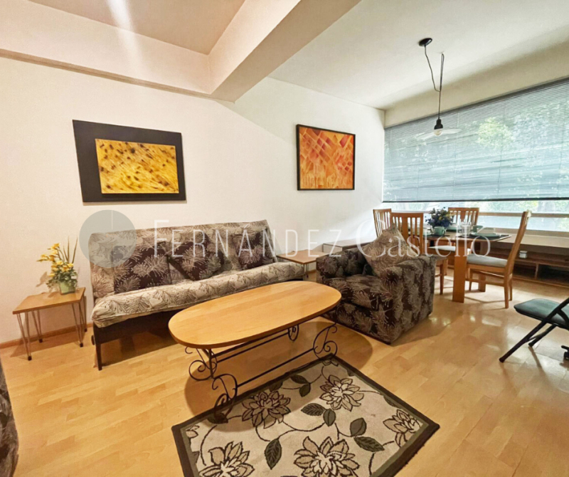 VENTA DE DEPARTAMENTO EN REFORMA SOCIAL