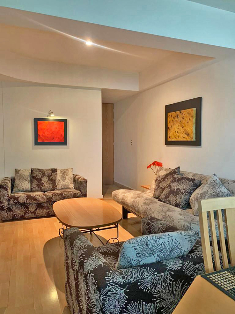 VENTA DE DEPARTAMENTO EN REFORMA SOCIAL