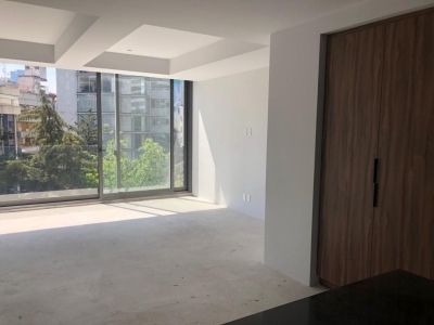 departamento en renta en polanco residencial avenue