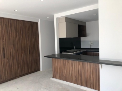 departamento en renta en polanco residencial avenue