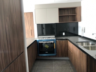 departamento en renta en polanco residencial avenue