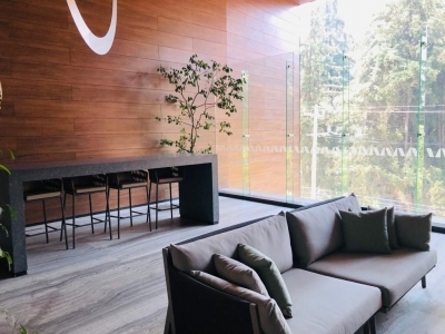 departamento en renta en polanco residencial avenue