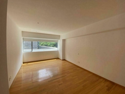 departamento en renta en polanco tres picos