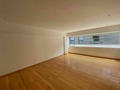 departamento en renta en polanco tres picos