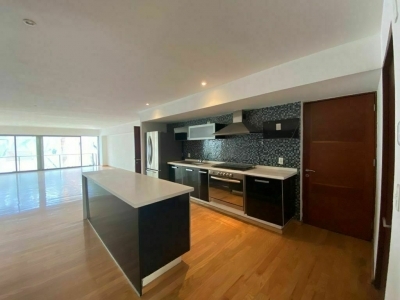 departamento en renta en polanco tres picos