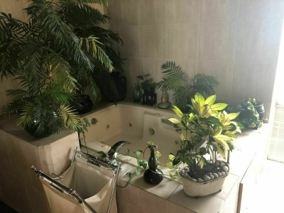 departamento en venta en interlomas toledo