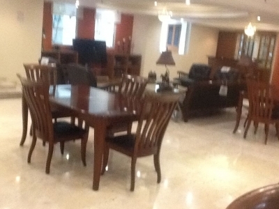departamento en renta en julio verne polanco