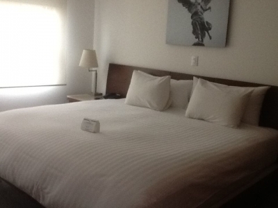 departamento en renta en julio verne polanco