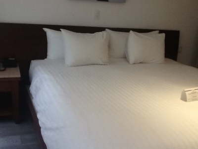 departamento en renta en julio verne polanco