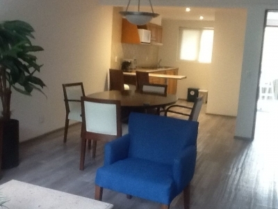 departamento en renta en julio verne polanco