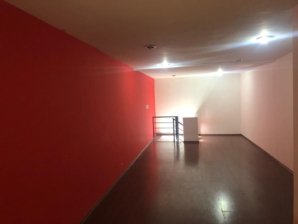 pent house en renta en horacio polanco