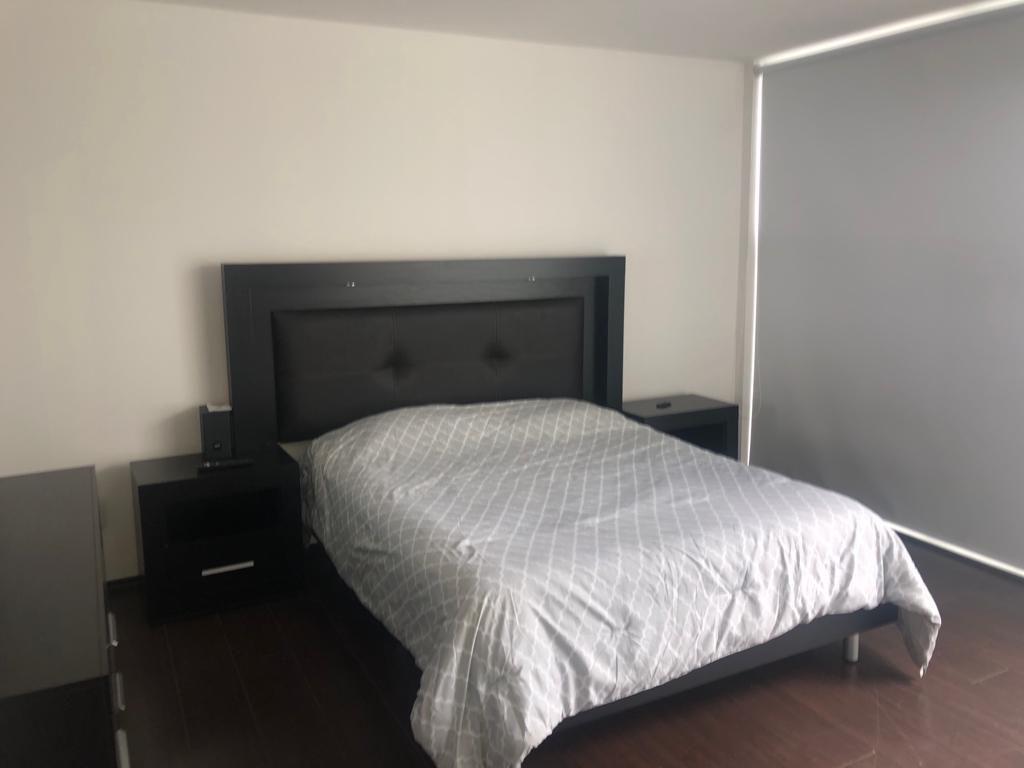 pent house en renta en horacio polanco