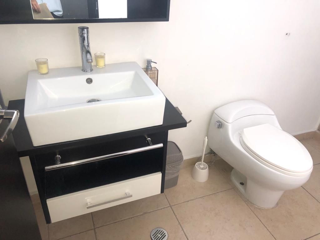 pent house en renta en horacio polanco