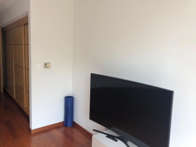 se renta departamento en campos eliseos- polanco ,260m2