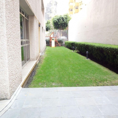 departamento en renta en bosques de las lomas
