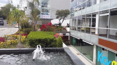 paseo de las palmas , lomas de chapultepec 489.1m2 , $330000
