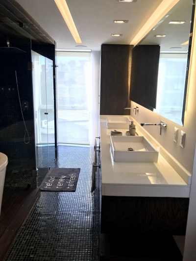 ph con roof garden privado en lomas de chapultepec