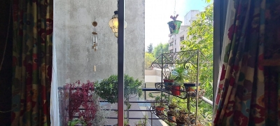 departamento en renta en san josé insurgentes