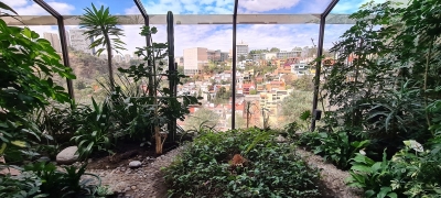 Casa en Renta en Cerrada sobre Av. De los Bosques