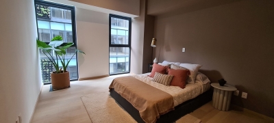 departamento en venta en colonia roma