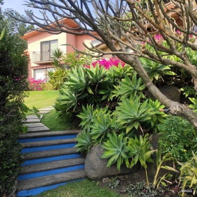Casa en Condominio en Venta en Cuernavaca 