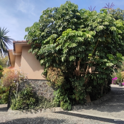 Casa en Condominio en Venta en Cuernavaca 
