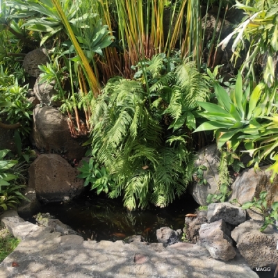 Casa en Condominio en Venta en Cuernavaca 
