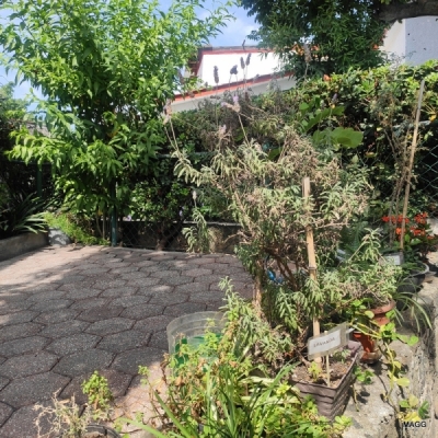 Casa en Condominio en Venta en Cuernavaca 
