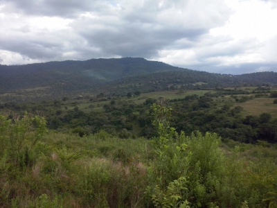 Venta/Terreno/Las Trompetas