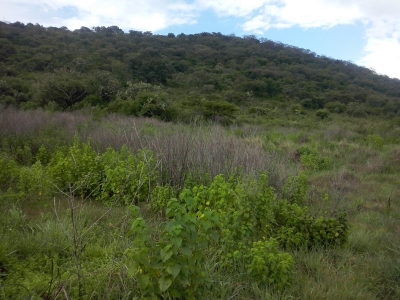 Venta/Terreno/Las Trompetas
