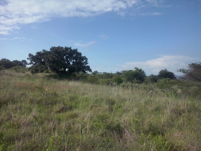 Venta/Terreno/Las Trompetas