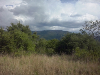 Venta/Terreno/Las Trompetas
