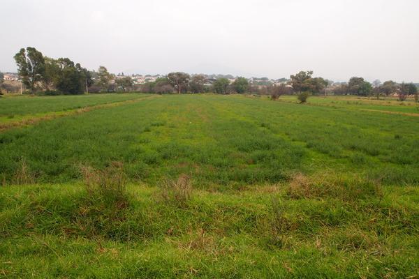 Venta/Terreno/El Rosario
