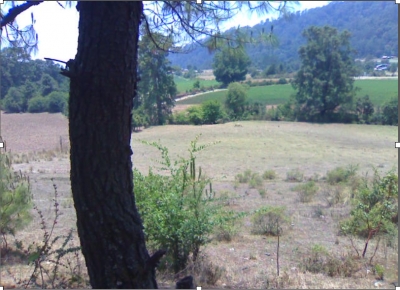 Venta/Terreno a precio de remate/Valle de Bravo