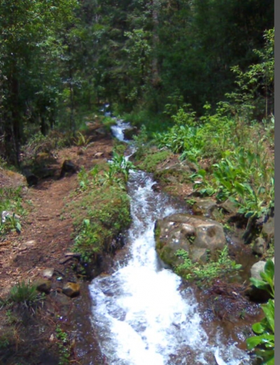 Venta/Terreno a precio de remate/Valle de Bravo