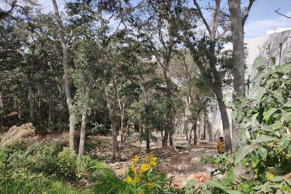 Venta/Terreno/Sayavedra