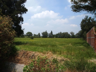 Venta/Terreno industrial/Melchor Ocampo