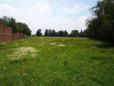 Venta/Terreno industrial/Melchor Ocampo
