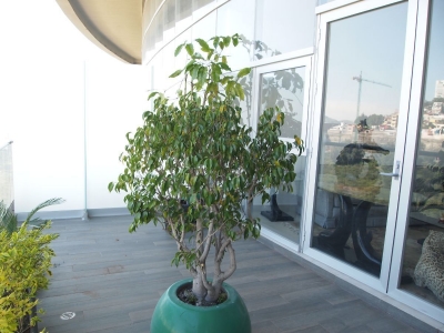 venta/p.h./ bosques de lomas verdes