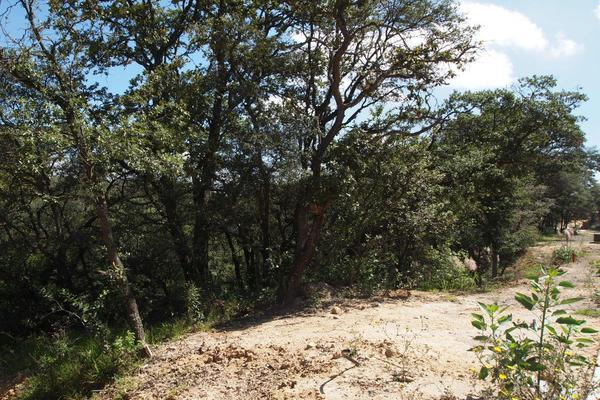 Venta/Terreno/Rancho San Juan