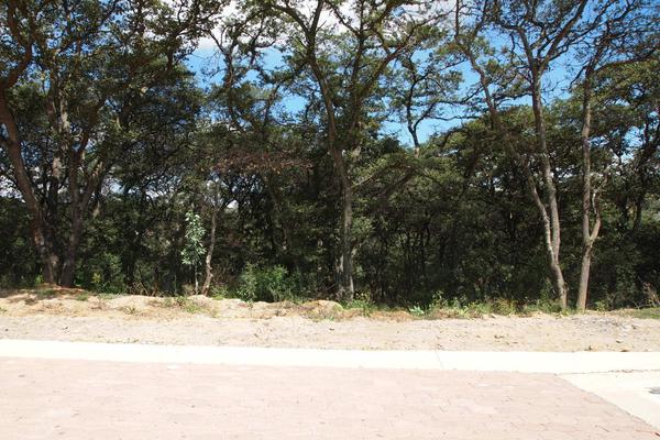 Venta/Terreno/Rancho San Juan