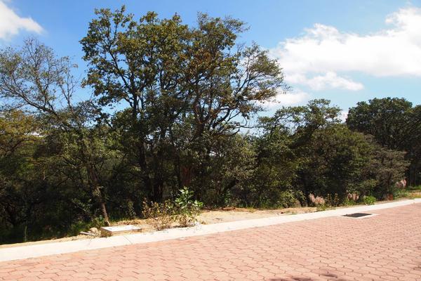 Venta/Terreno/Rancho San Juan