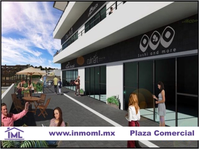 venta o renta/local/plaza santa lucia