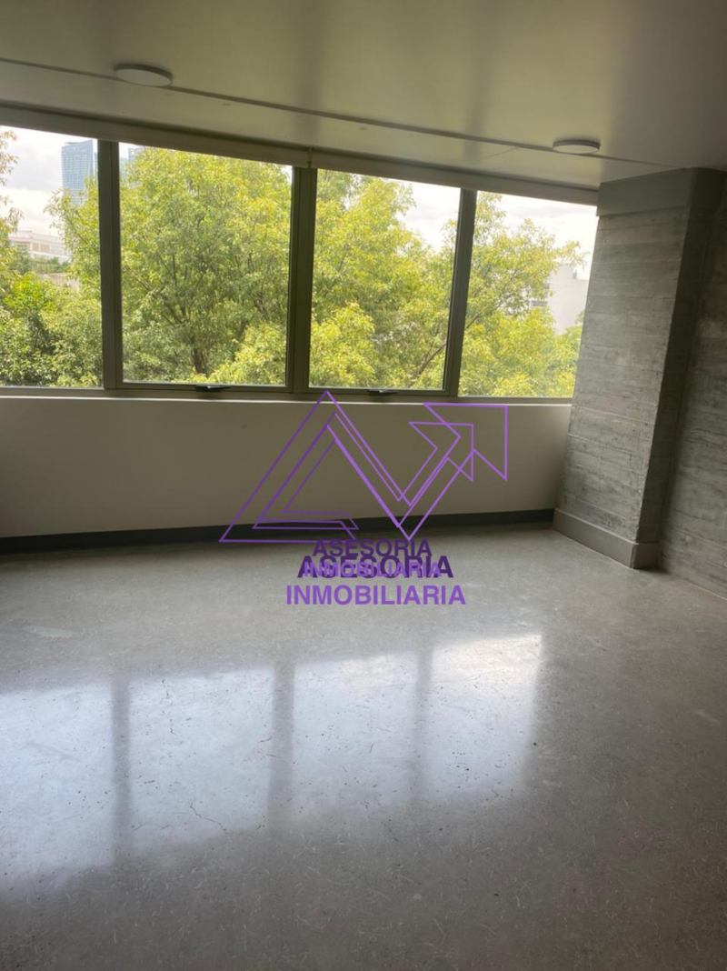 Departamento En Renta En Hipódromo Condesa