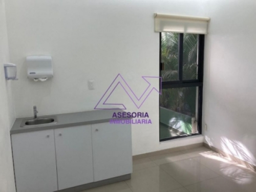 Oficina Y O Consultorios En Renta En Polanco