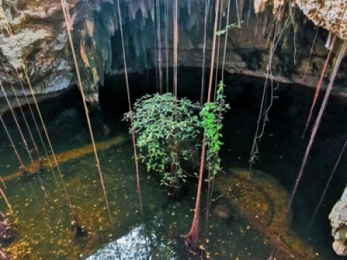 Hacienda En Venta, Chunkanán, Yucatan IV