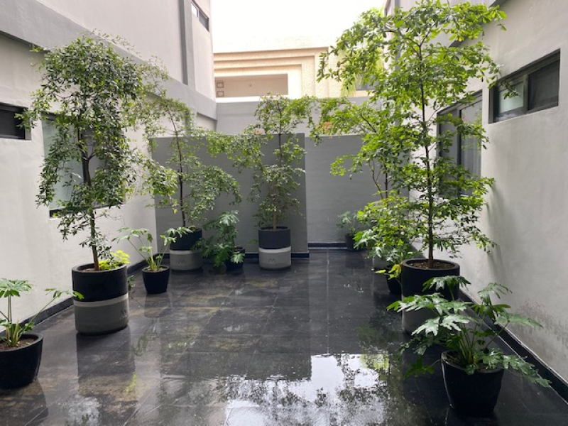Departamento En Renta En Providencia En Guadalajara