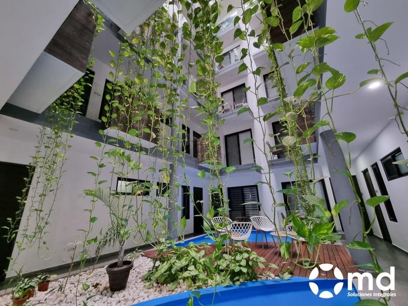 Renta Departamento Amueblado Y Equipado  En Playa Del Carmen 